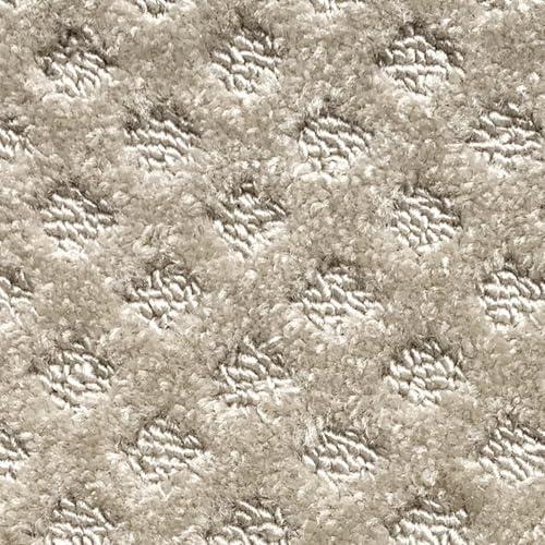 Carpet Stair Treads for Wooden Steps