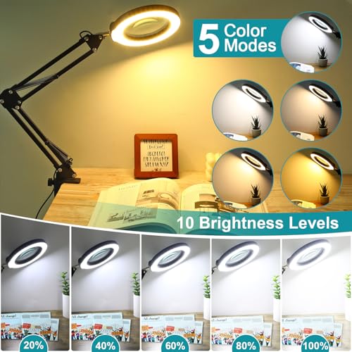 2-in-1 Desk Lamp with Light