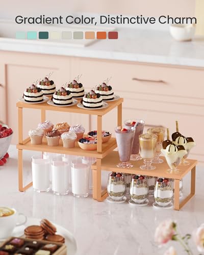 Cabinet Organizer Shelf