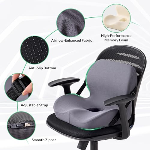 Seat and Back Cushion
