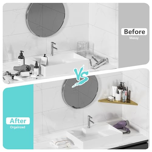 Corner Shower Shelves