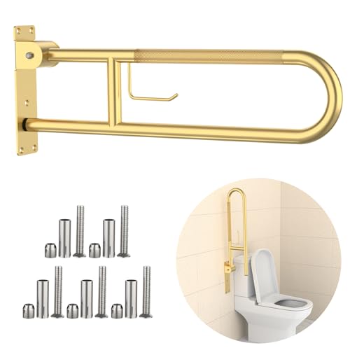 Toilet Grab Bar