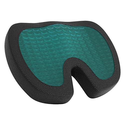 Back Support Cushion