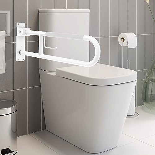 Toilet Grab Bar