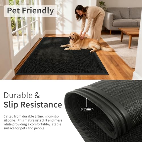 Front Door Mat Indoor Outdoor Entrance