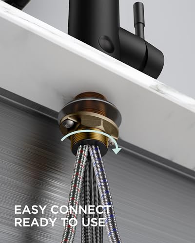 Kitchen Faucet with Pull Down Sprayer
