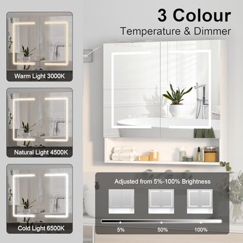 Large LED Medicine Cabinet for Bathroom