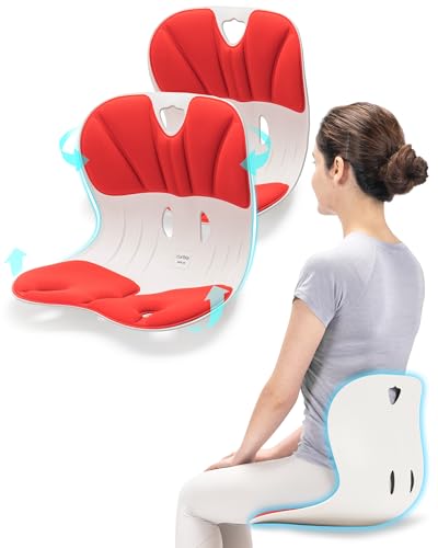 Curble Chair Teenager] Ergonomic Lower Back Chair Support