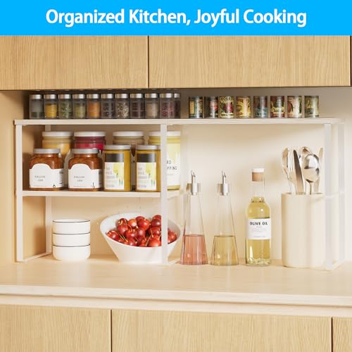 Kitchen Counter Organizer