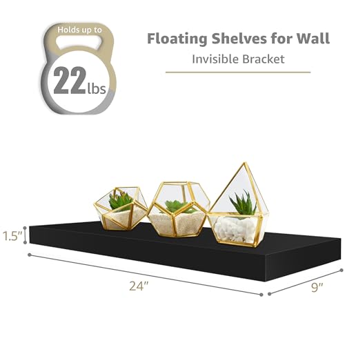 Floating Shelves for Wall