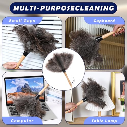 Extendable Ostrich Feather Duster
