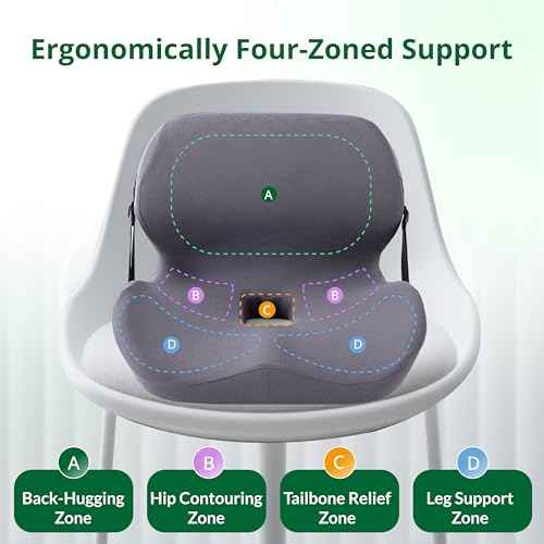 Seat and Back Cushion