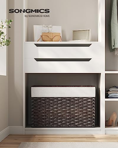 Storage Basket with Lid